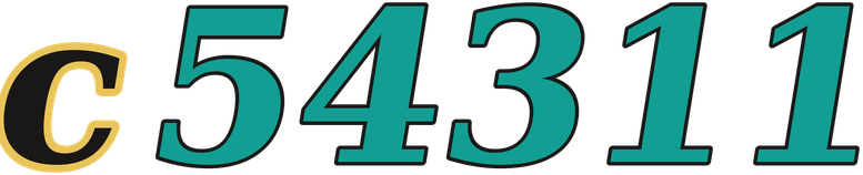 c54311 logo